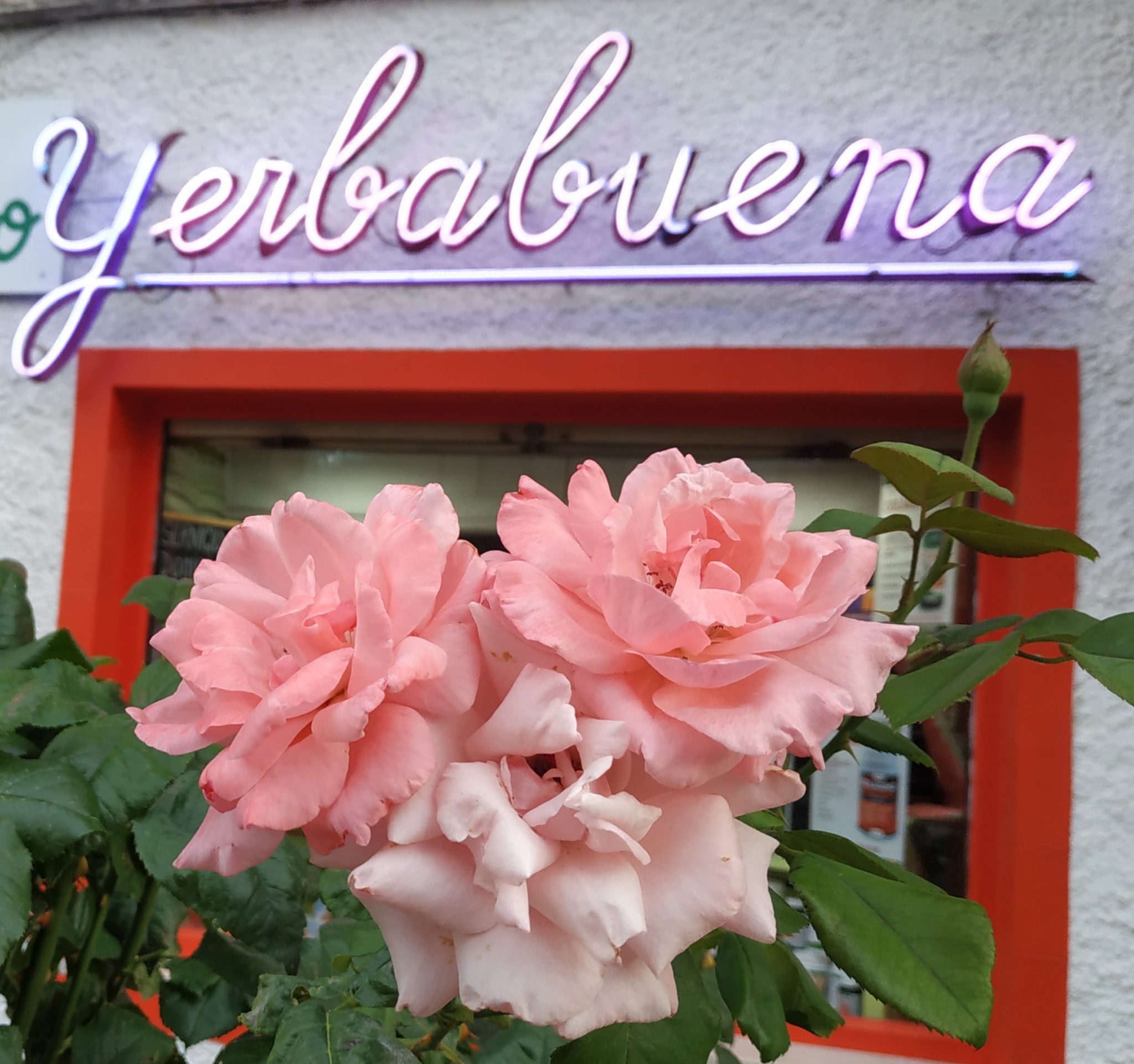 Herbolario Yerbabuena Tu herbolario de confianza en Guadalajara